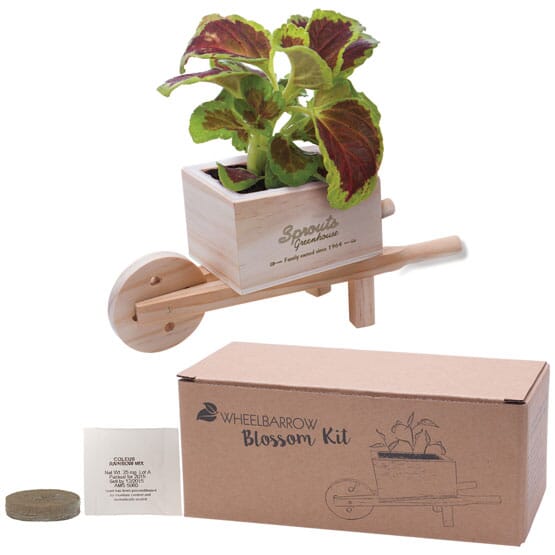 Wooden Wheel Barrow Kit