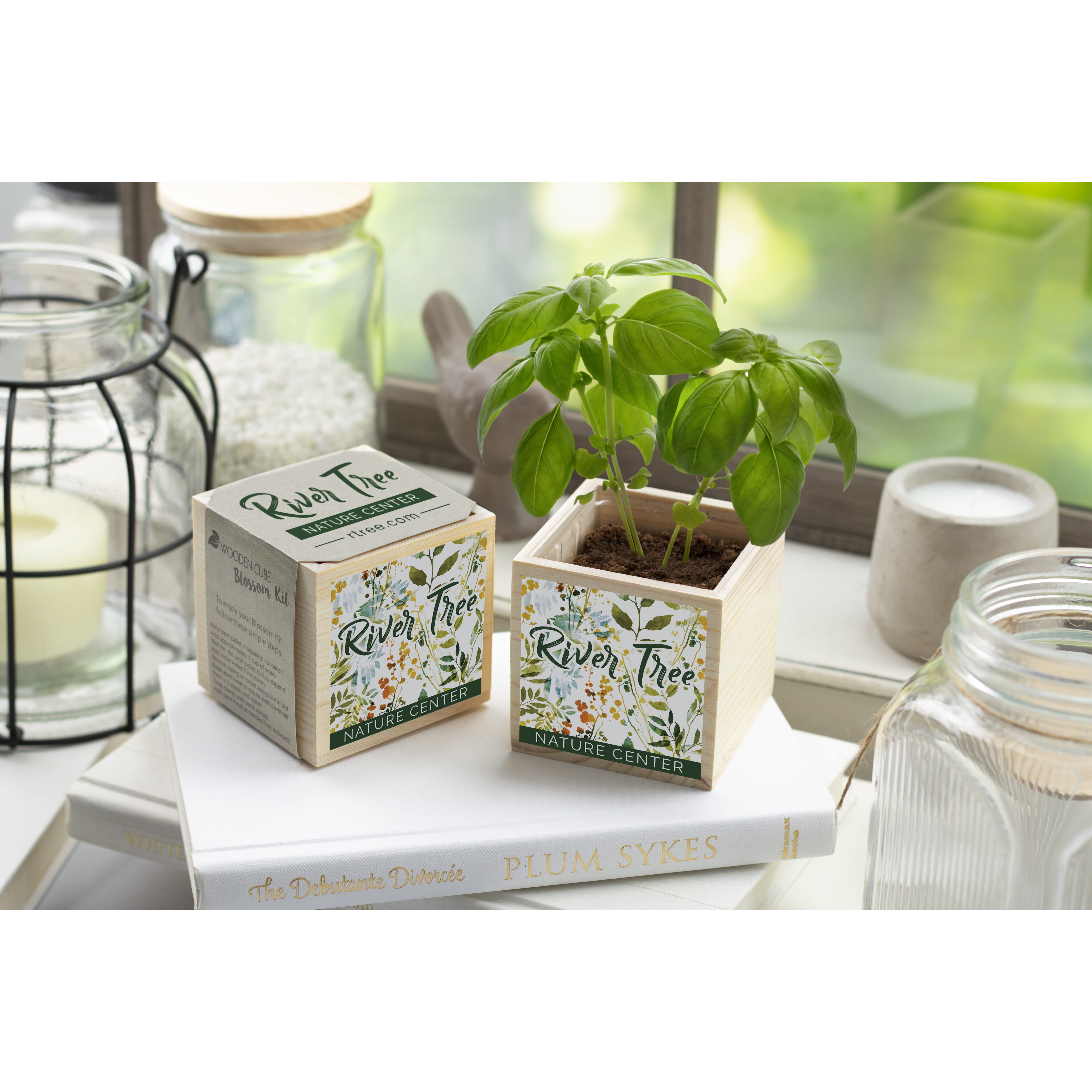Block Printing Kit (Potted Plants) - Cate Paper Co