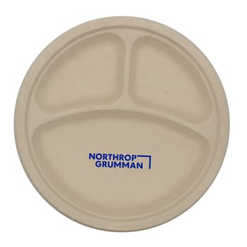 Compartment Plate - 10&quot;