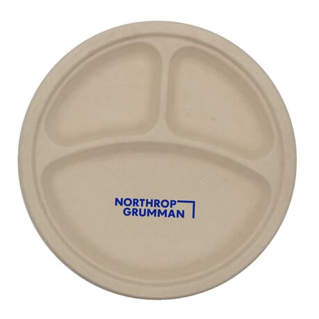 Compartment Plate - 10