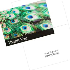 Peacock Thank You