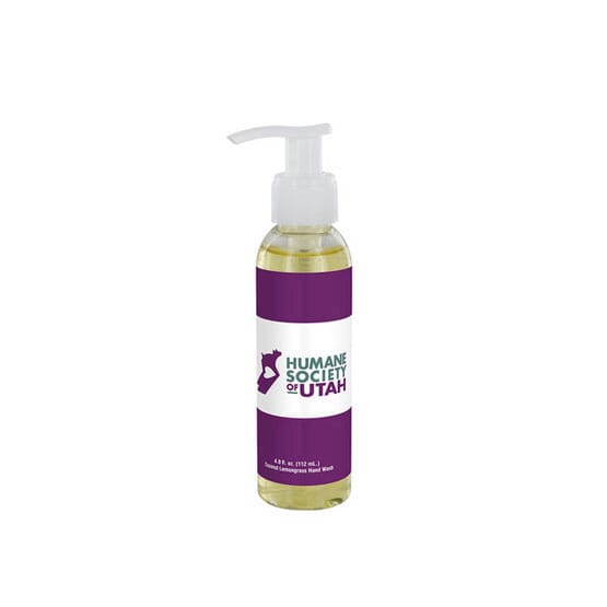 4 oz. Liquid Hand Cleanser