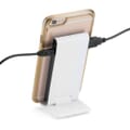 Powerbank In Use