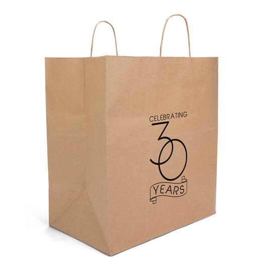 Eco Kraft Paper Shopping Bags