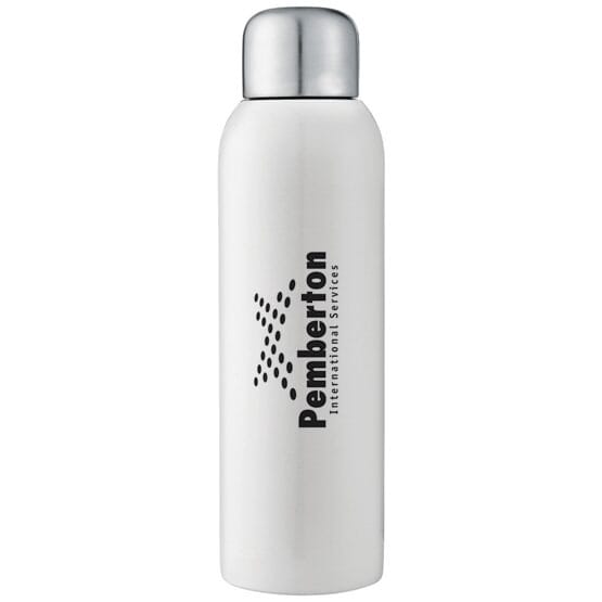 28 oz Sleek Stainless Water Bottle