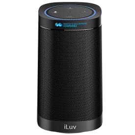 iLuv® Portable Speaker for Echo Dot (2nd Gen)