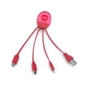 4-in-1 Light Up Charging Cable