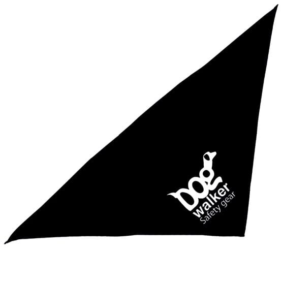 Big Bandana