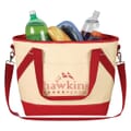 Cooler bag with contents showing.