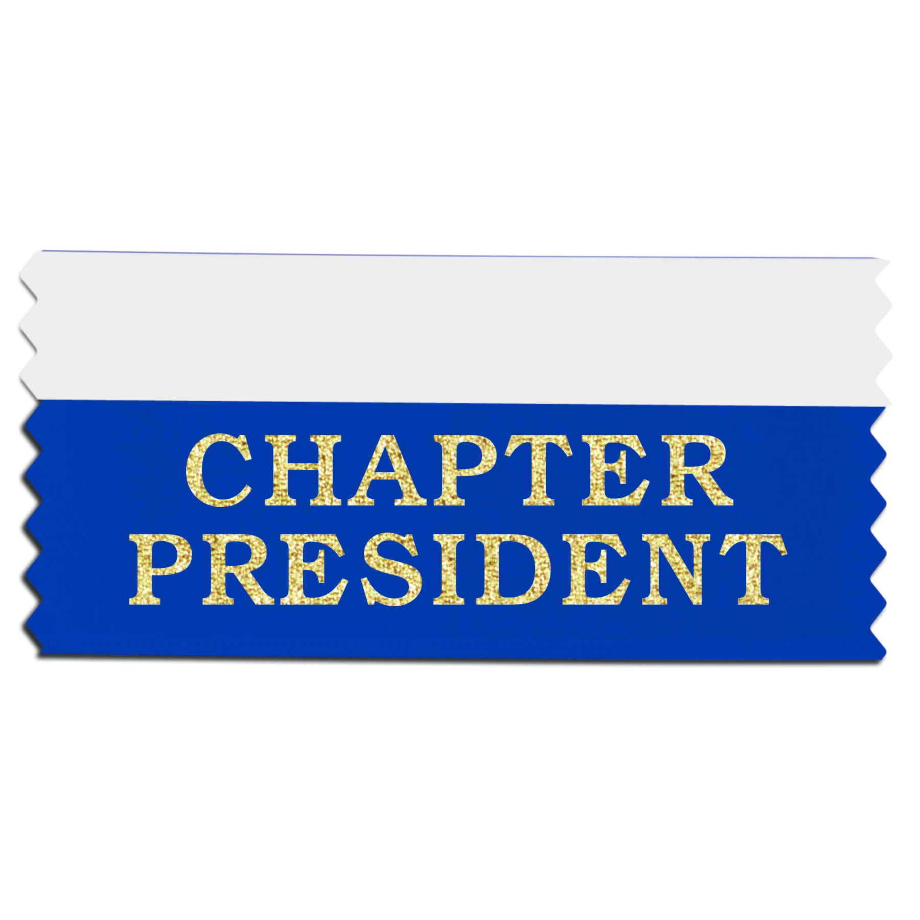 CHAPTER PRESIDENT