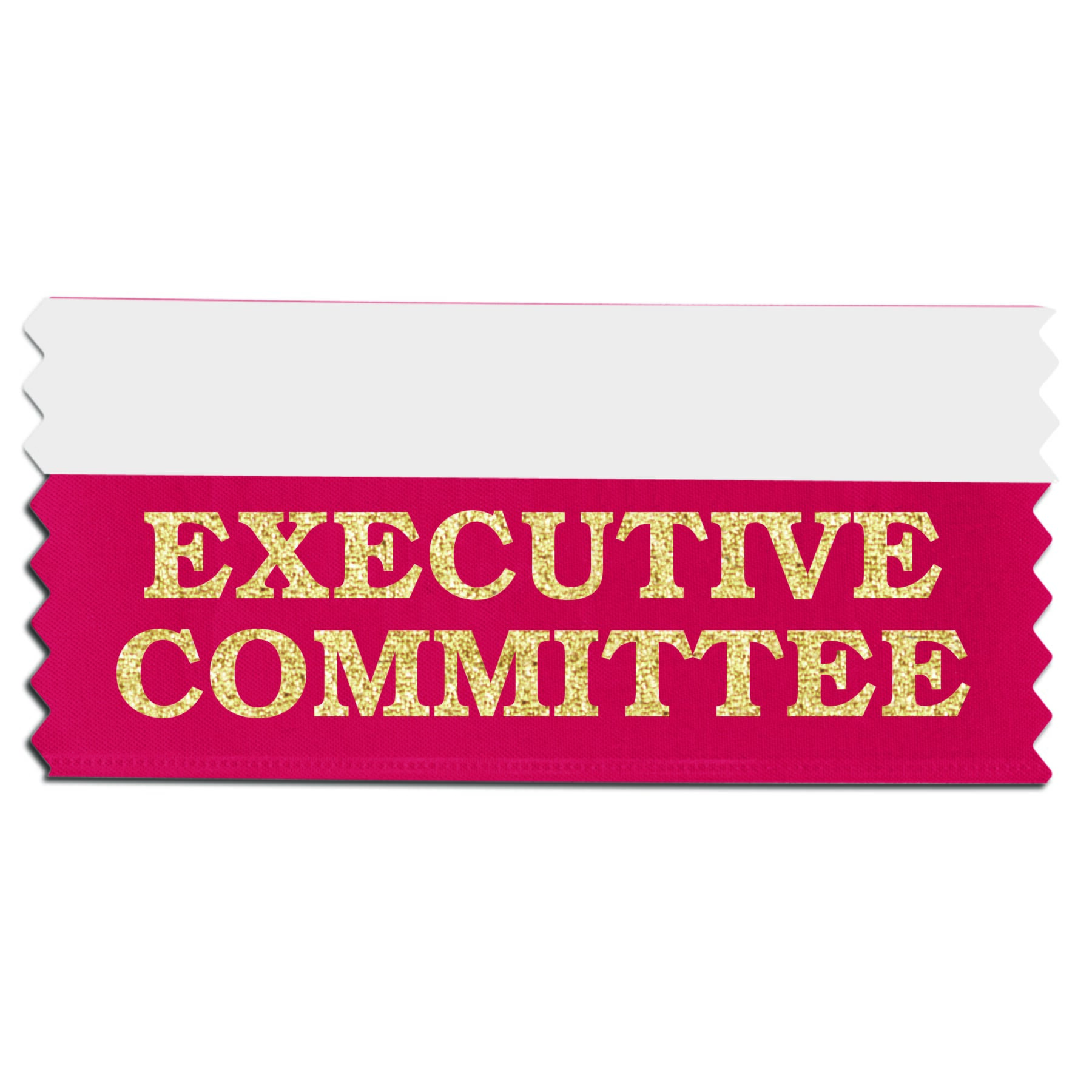 EXECUTIVE COMMITTEE