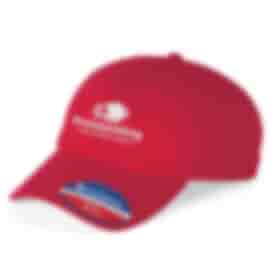 Champion Jersey Dad Cap