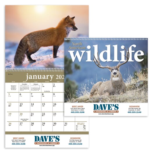 2025 North American Wildlife Calendar