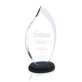 Innovation Award - Medium