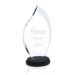 Innovation Award - Medium