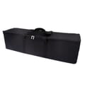 Case