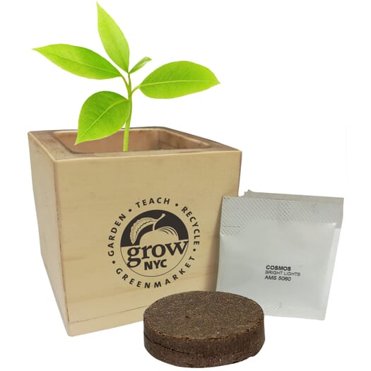 Wooden Cube Grow Kit