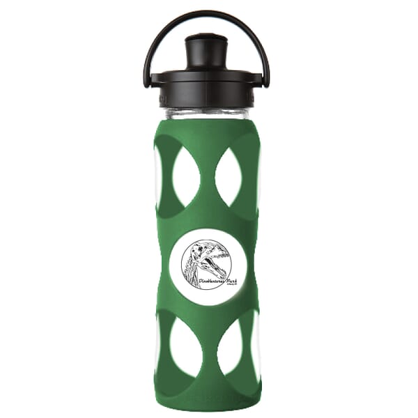 22 oz Life Factory Glass Water Bottle