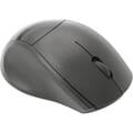 Angled view of mouse