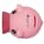 Piggy Coin Bank