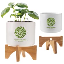 Ceramic Planter Set