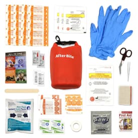 Gold First Aid Kit