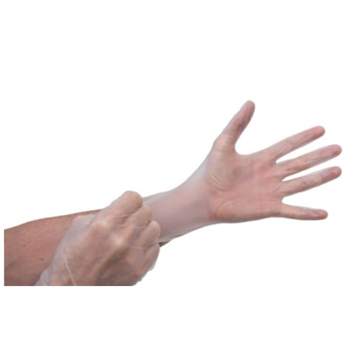 Vinyl Transparent Gloves - Large