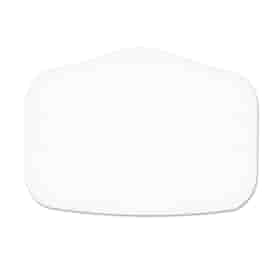 Clear Replacement Shields - 10 pack