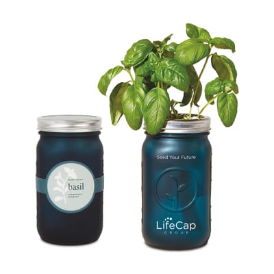 Modern Sprout Indoor Herb Garden Kit