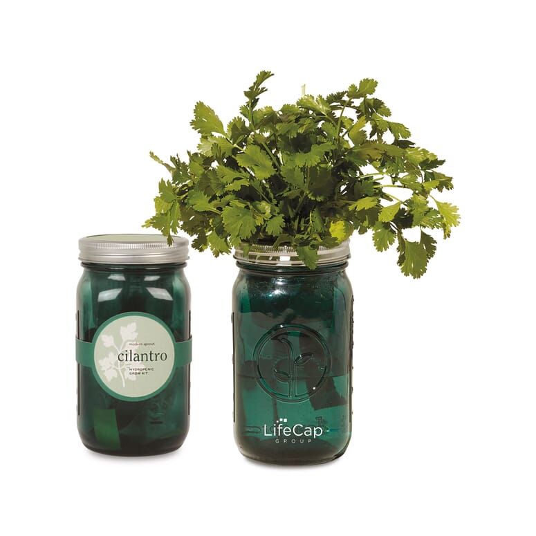 Modern Sprout garden jar