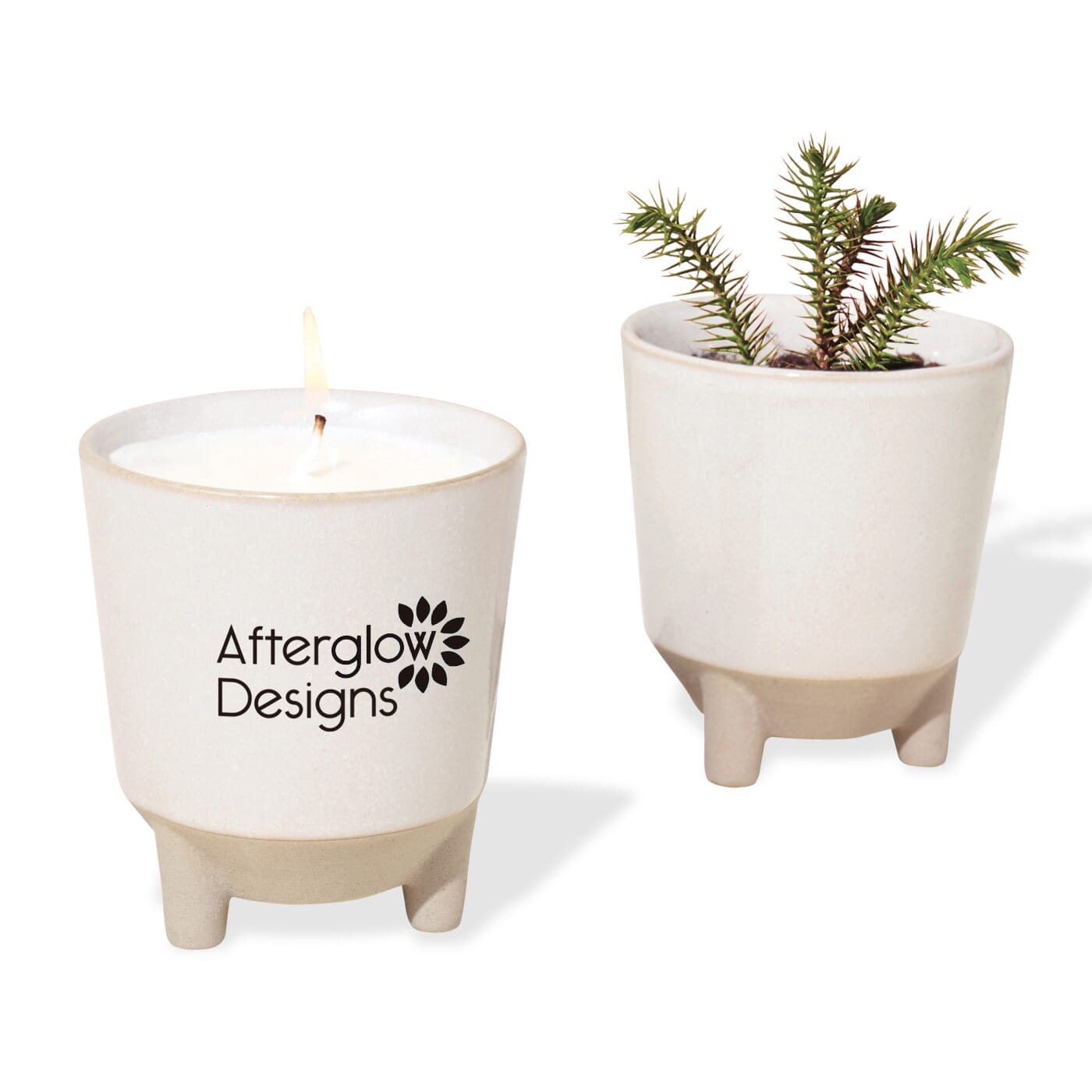 Modern Sprout Glow & Grow Live Well Gift Set