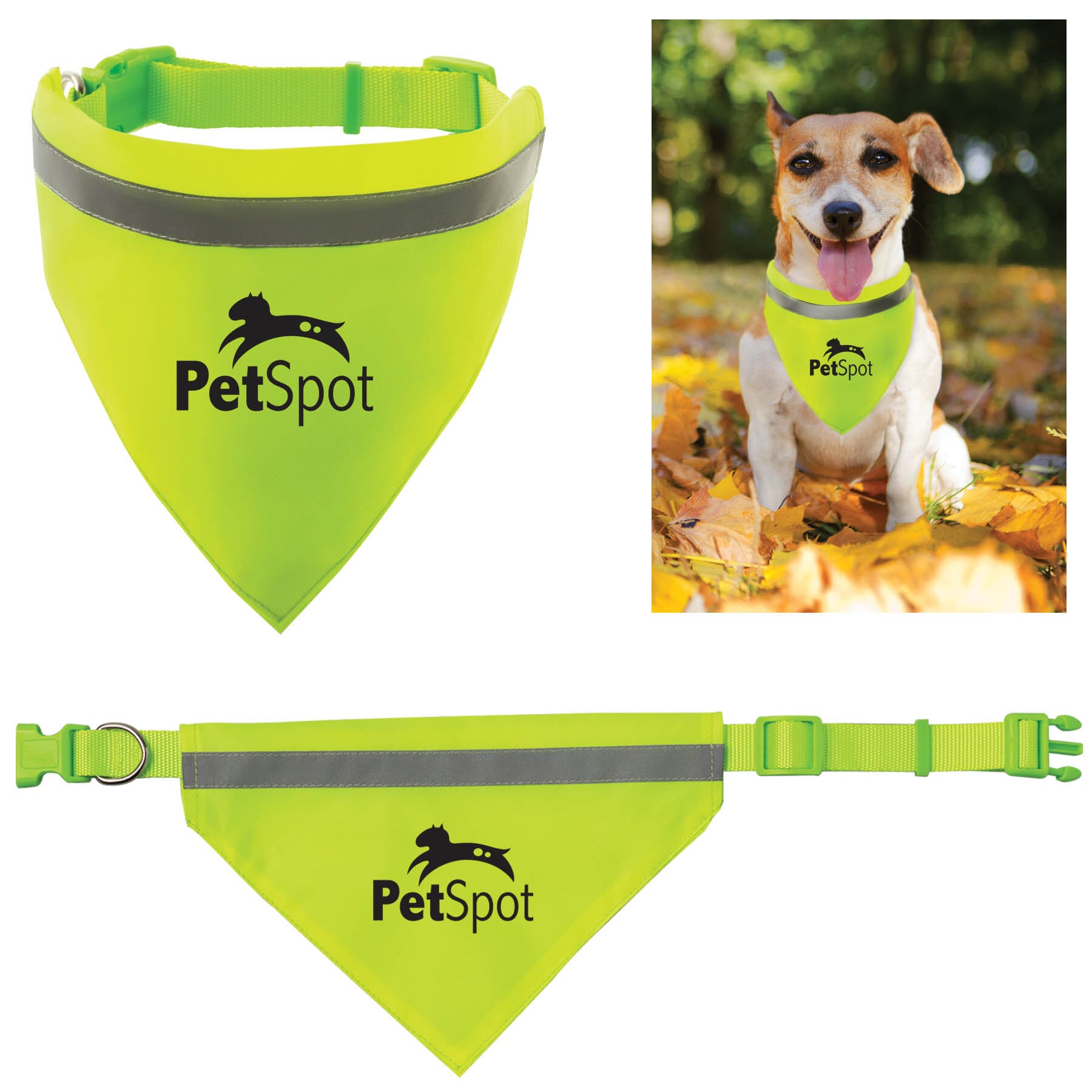 Custom dog products best sale