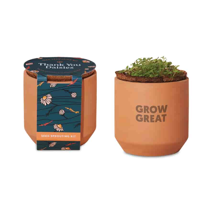 Modern Sprout® Tiny Terracotta Grow Kit 