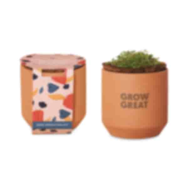 Modern Sprout® Tiny Terracotta Grow Kit