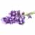 Sprigbox Lavender Grow Kit