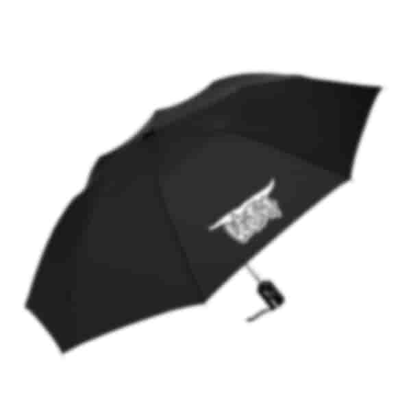 ShedRain® Auto Open Compact Umbrella