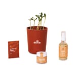 Modern Sprout&#174; Shine Bright Take Care Kit - Sunflower