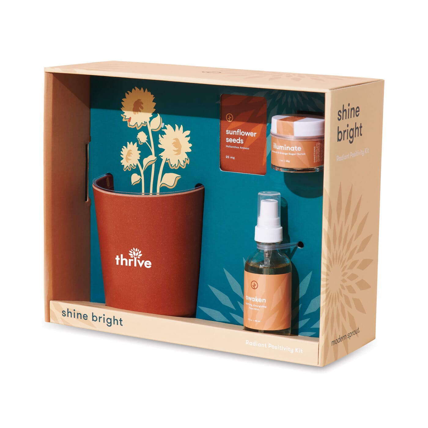 Modern Sprout Sunflower Plant Kit