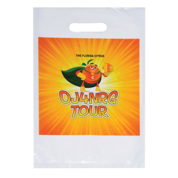 9 x 13 Full Color Plastic Bags