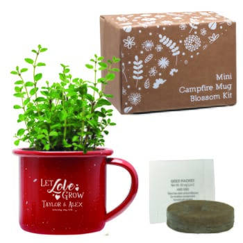 Mini Campfire Mug Blossom Kit