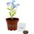 Terra Cotta Petite Planter Kit