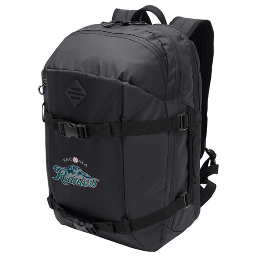 Urban Peak® Harmon Ridge Laptop Backpack