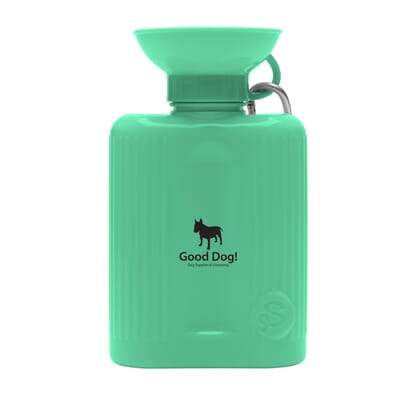 Springer 44 oz Growler Travel Bottle