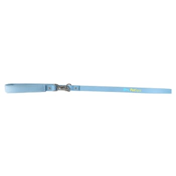 Springer Small Dog Leash