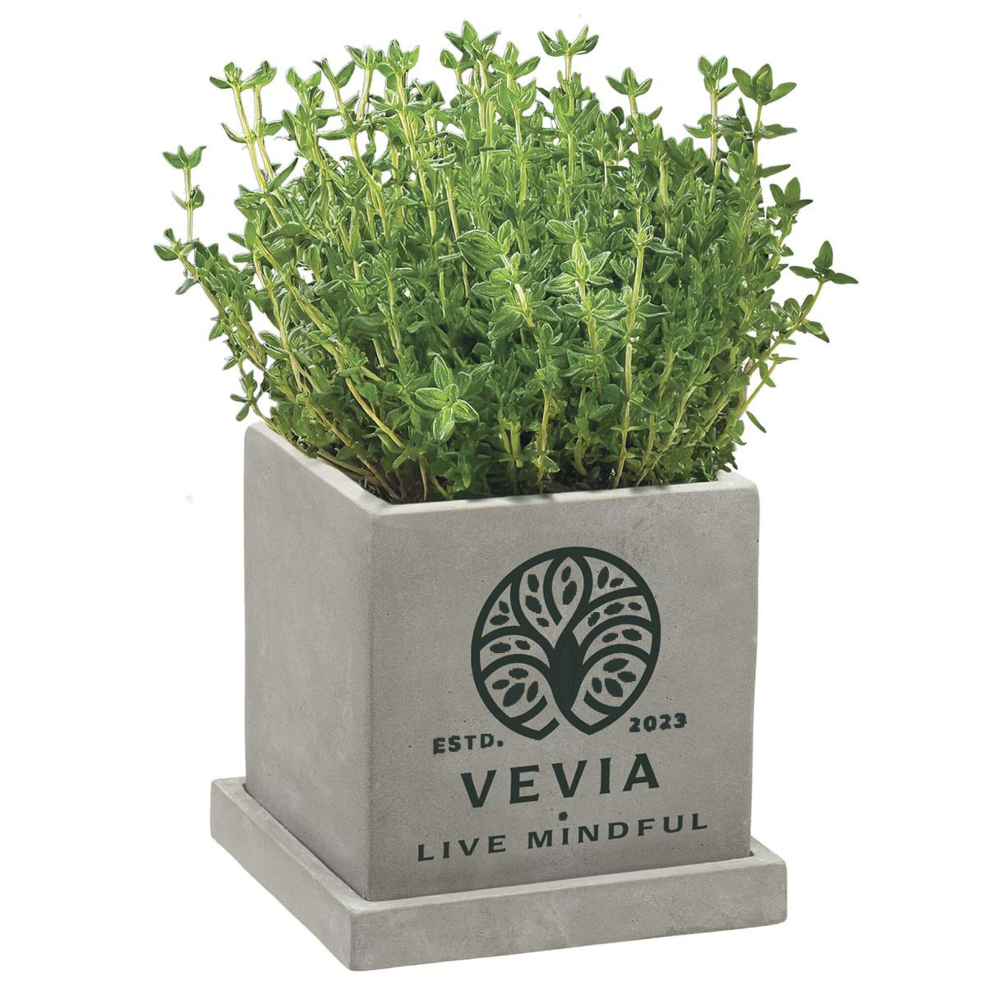 28. Stone Blossom Kit