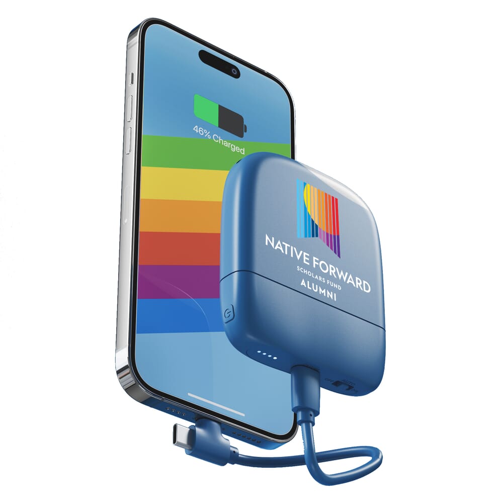 POWERBANK BATTERIA ESTERNA 6600 MAH RICARICA VELOCE DISPOSITIVI CON Doppia Usb 8022044328928 POWERBANK BATTERIA ESTERNA 6600 MAH RICARICA VELOCE DISPOSITIVI CON Doppia Usb 8022044328928