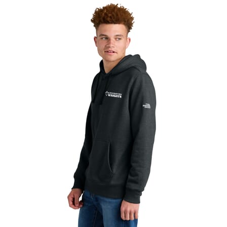 the north face hoodie with logo