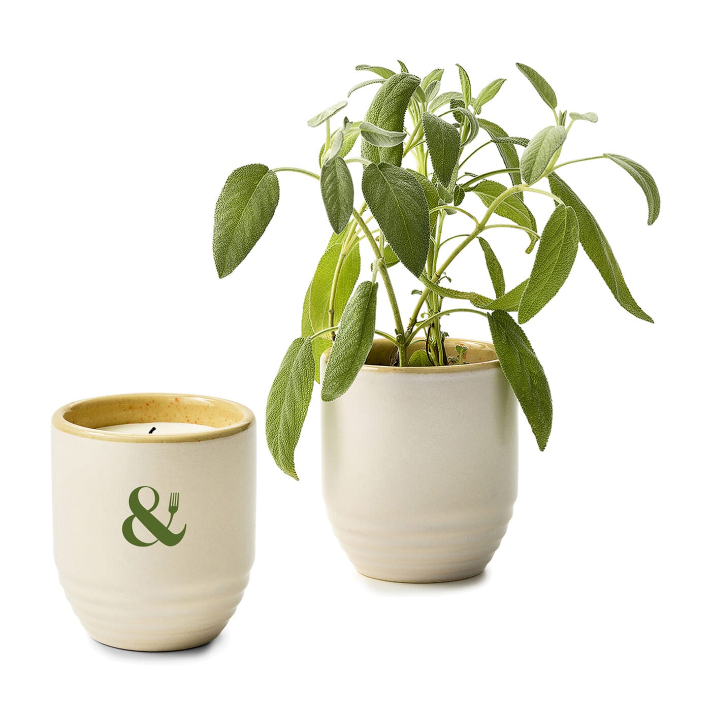 Modern Sprout® Garden Vibes Candle/Planter