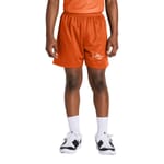 Youth Sport-Tek® PosiCharge® Mesh 5” Short
