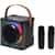 15W Karaoke Wireless Speaker with 2 Mics